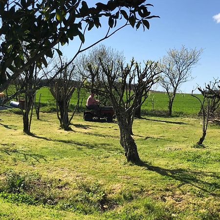 Les Geais Bed and Breakfast Saint-Pierre-la-Noue Buitenkant foto